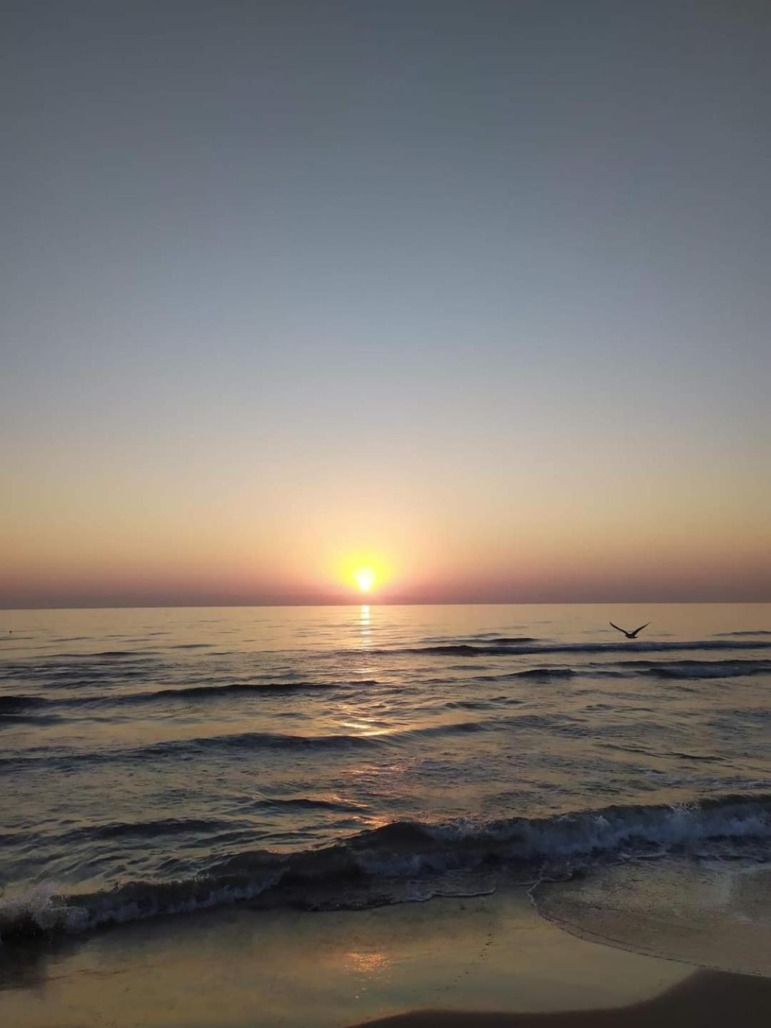 Mare De Deu, Vivienda Vacacional Para Familias Y Mayores De 25 Anos En El Grao De Gandia-Playa Playa de Gandia Buitenkant foto